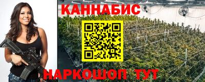 МДПВ Славгород