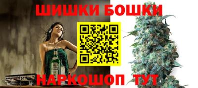 МДПВ Славгород